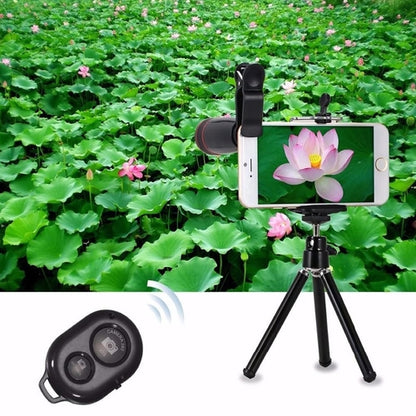 11-in-1 Smartphone Camera Lens Kit – Wide Angle, Macro & Fisheye Lenses for iPhone & Android