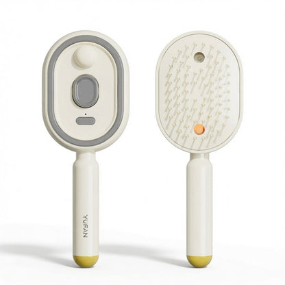 Electric Spray Airbag Massage Comb Essential Oil Atomized Hair Brush