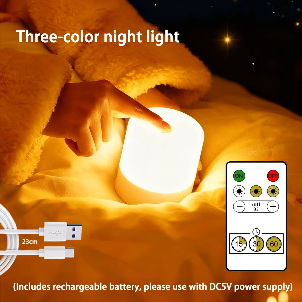 LED Night Light Dimmable Rechargeable/Plug-in Desktop Bedroom Bedside Lighting Decorative Touchscreen Reading RGB Desk Lamp